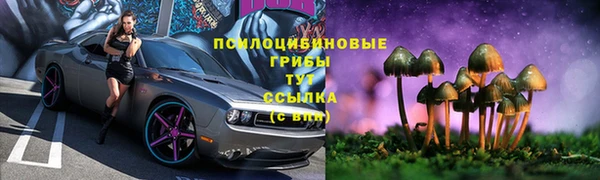 кокс Осташков