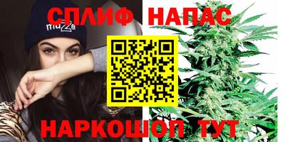 СК Балашиха