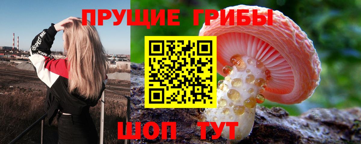 наркотики  Псилоцибиновые грибы Psilocybine cubensis  Вход с VPN  Псилоцибиновые грибы мухоморы  Борзя 