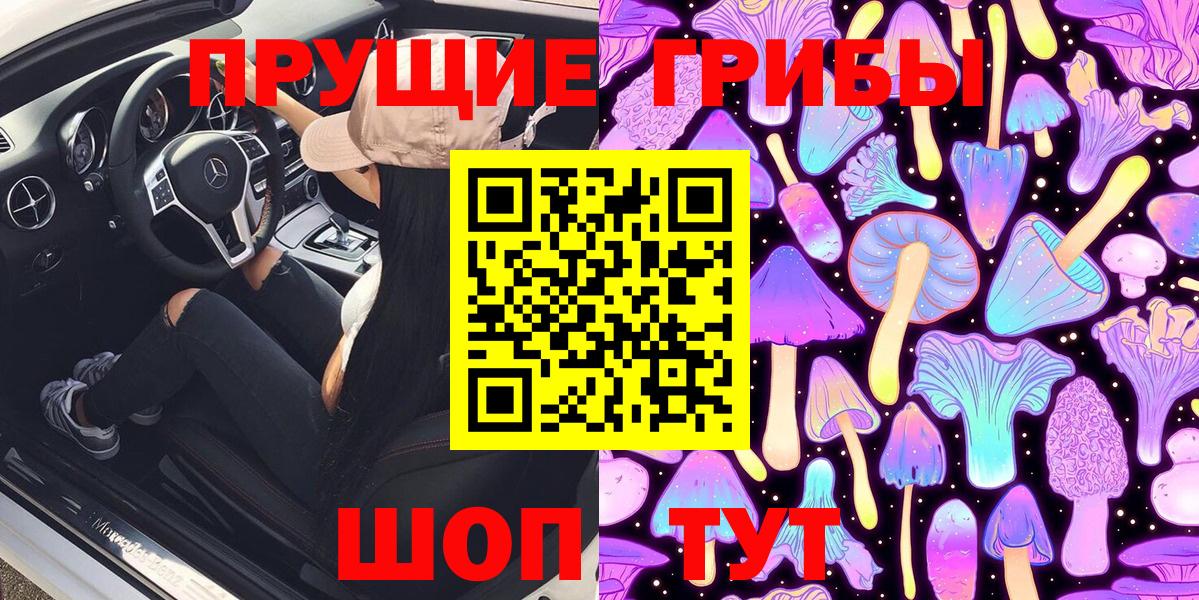 Галлюциногенные грибы Psilocybine cubensis  Борзя 