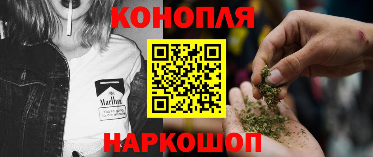 Бошки Шишки Bruce Banner  Конопля ГИДРОПОН  Вход с VPN  Бошки марихуана планчик  Канабис сатива  Борзя 